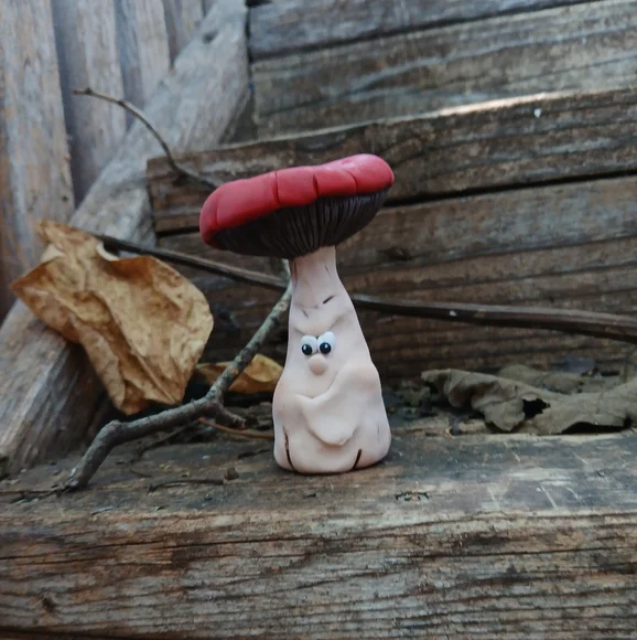 🧡🤎Mushroom Face 🥀🌸 Funny 🍄🟫🍄 - Picture 5 of 7